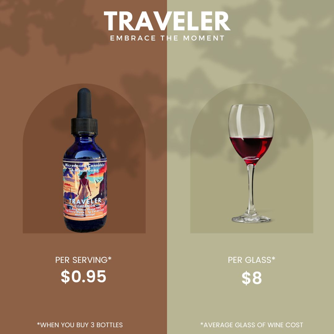 Traveler Companion