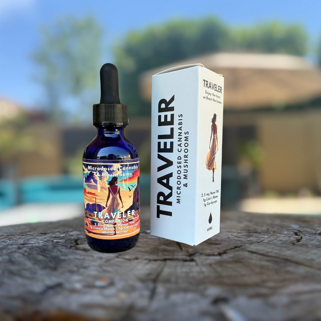 Traveler Companion