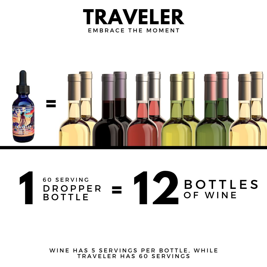 Traveler Companion